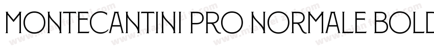 Montecantini Pro Normale Bold字体转换
